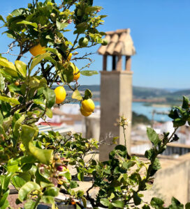 gardone riviera tower and lake view