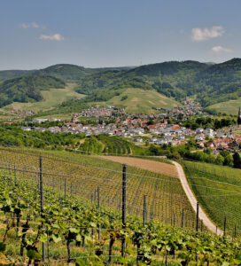 lugana valtenesi landscape private tour